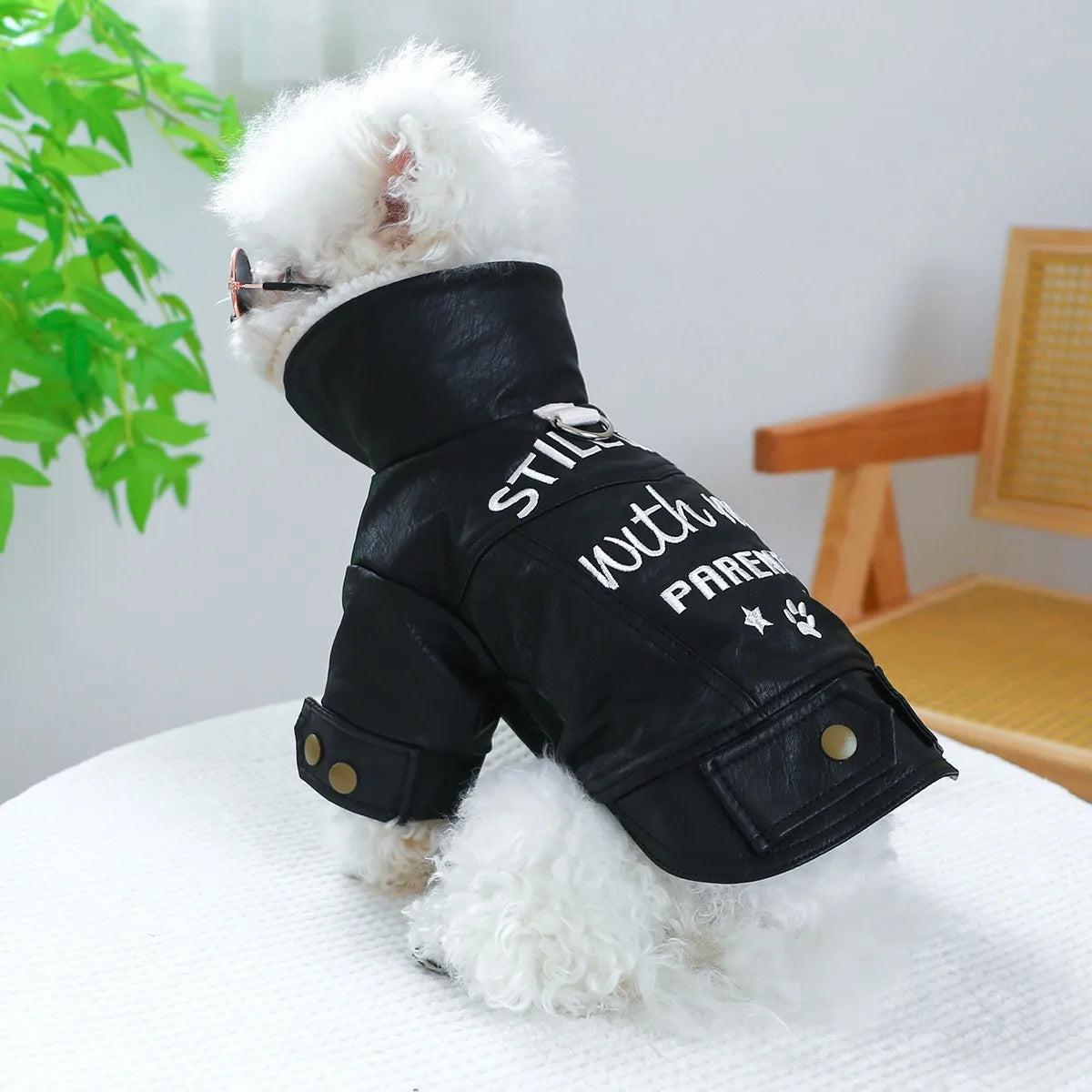 Snug Puppy Jacket