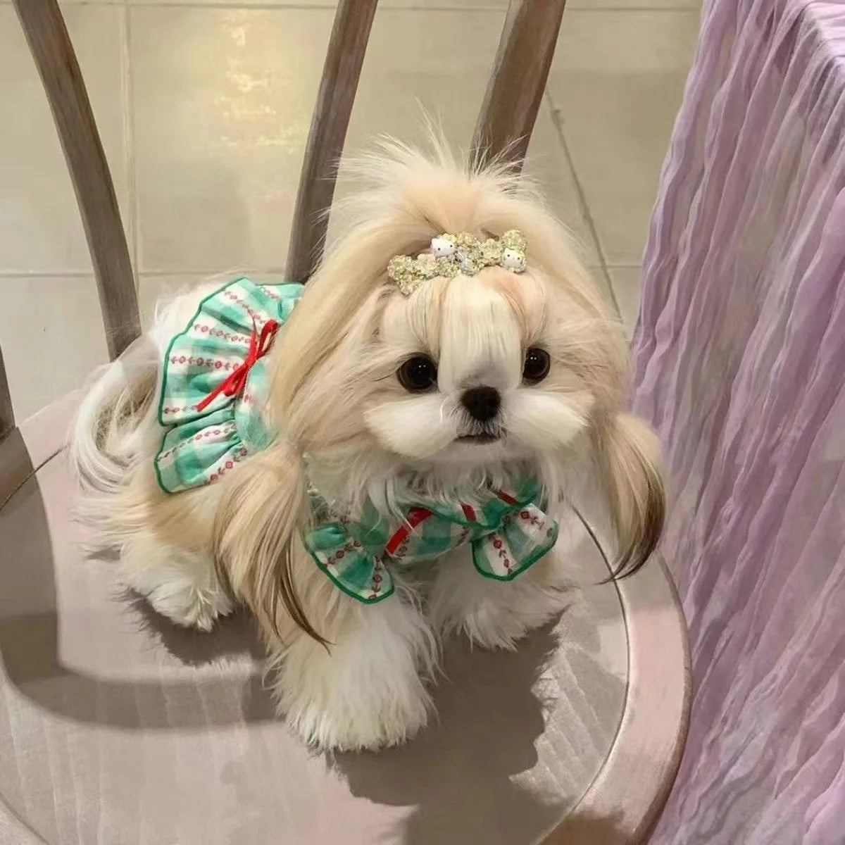 Dog Princess Vest