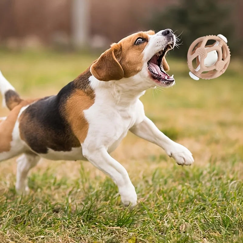 Fun Chew Ball Toy