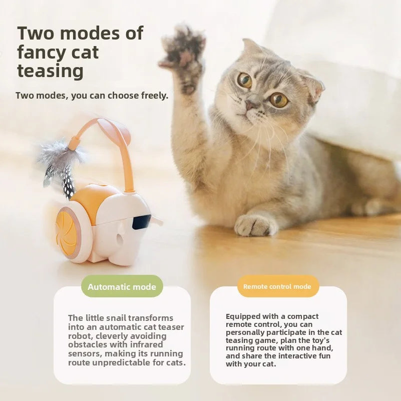 Smart Cat Teaser Toy