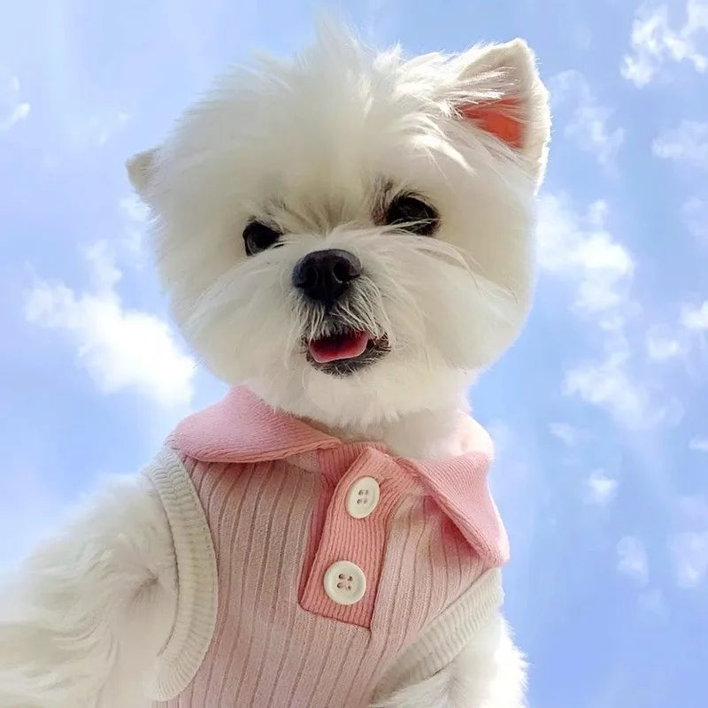 Stylish Pet Polo