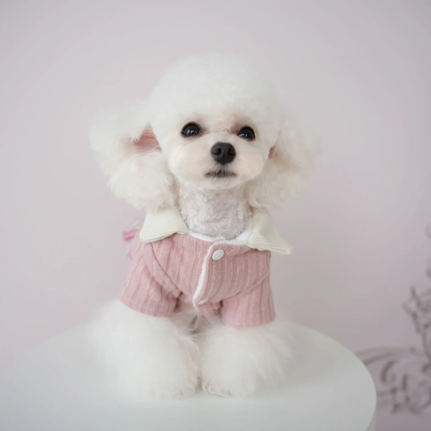Teddy Winter Outfit