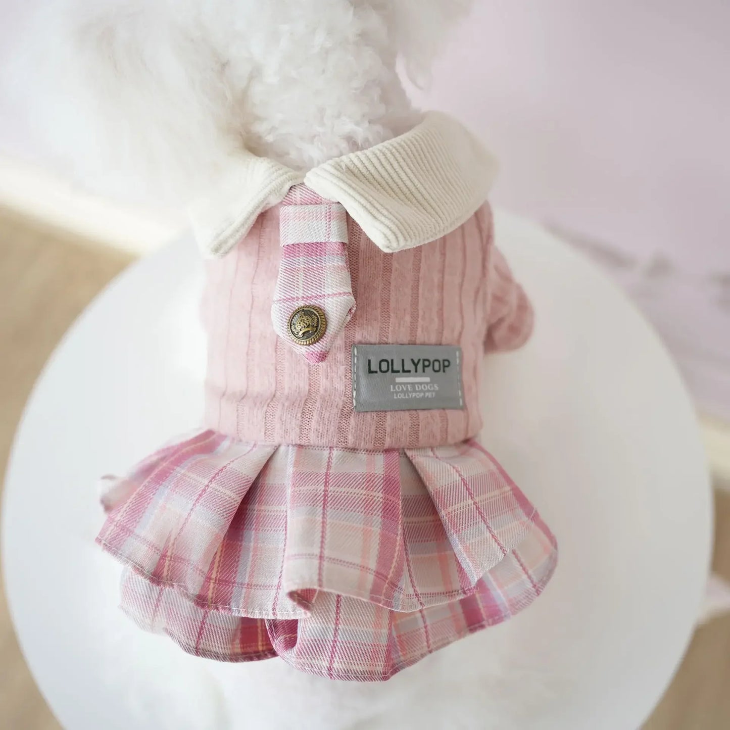 Teddy Winter Outfit