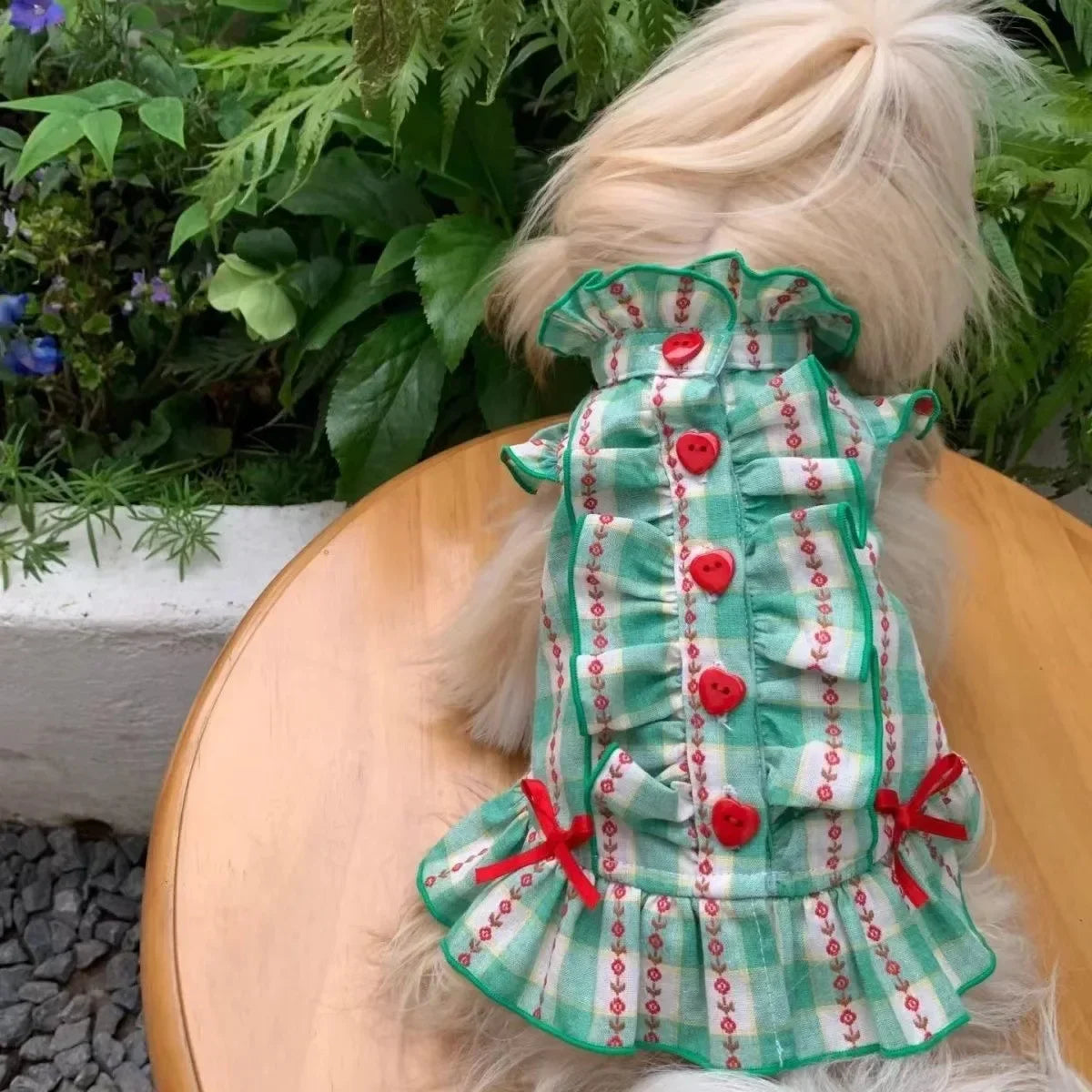 Dog Princess Vest
