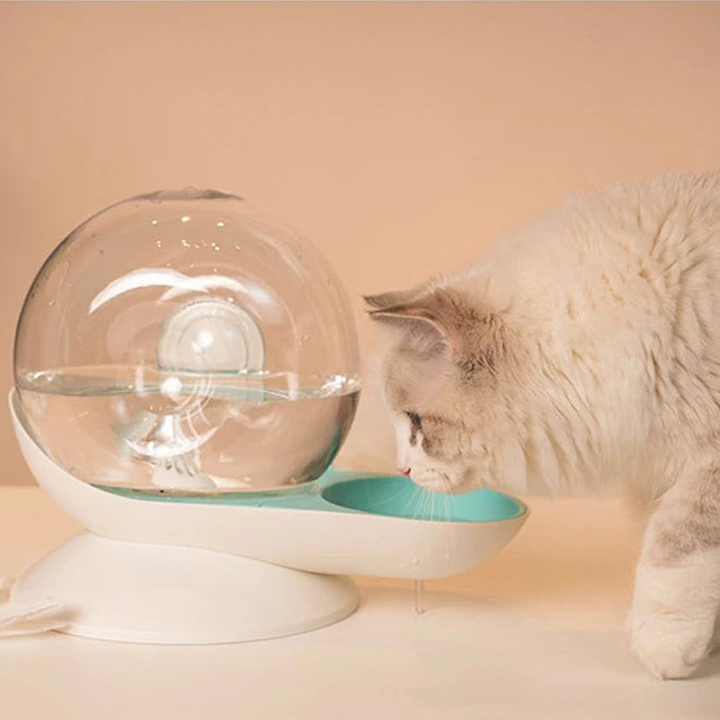 SnailFlow Fountain