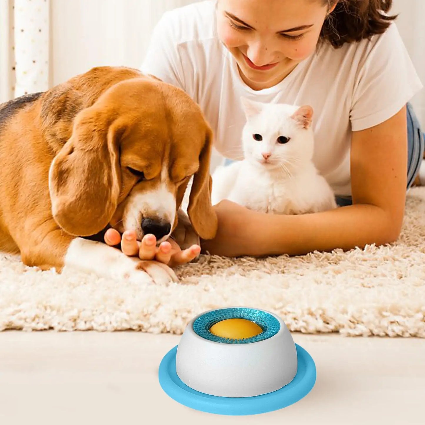 Lick Feeding Toy