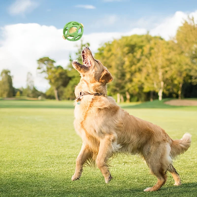 Fun Chew Ball Toy