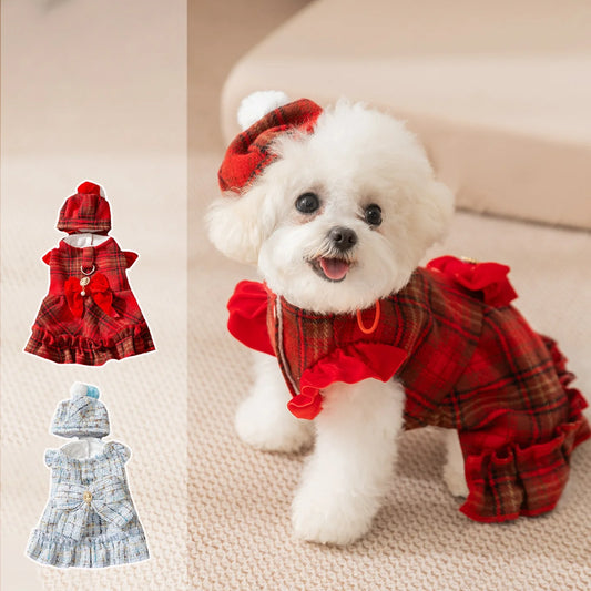 Frosty Paw Fashion