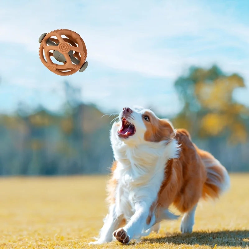Fun Chew Ball Toy