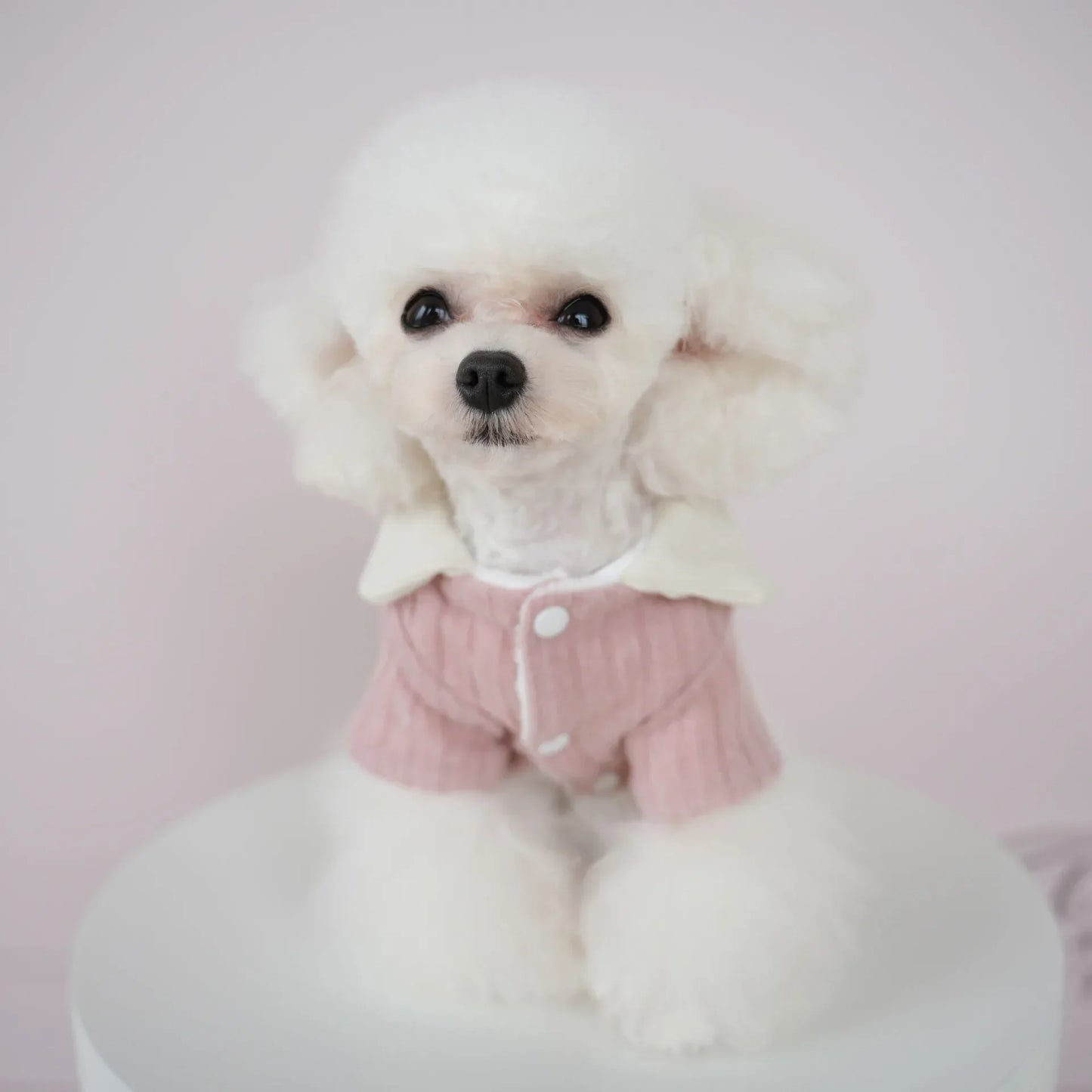 Teddy Winter Outfit