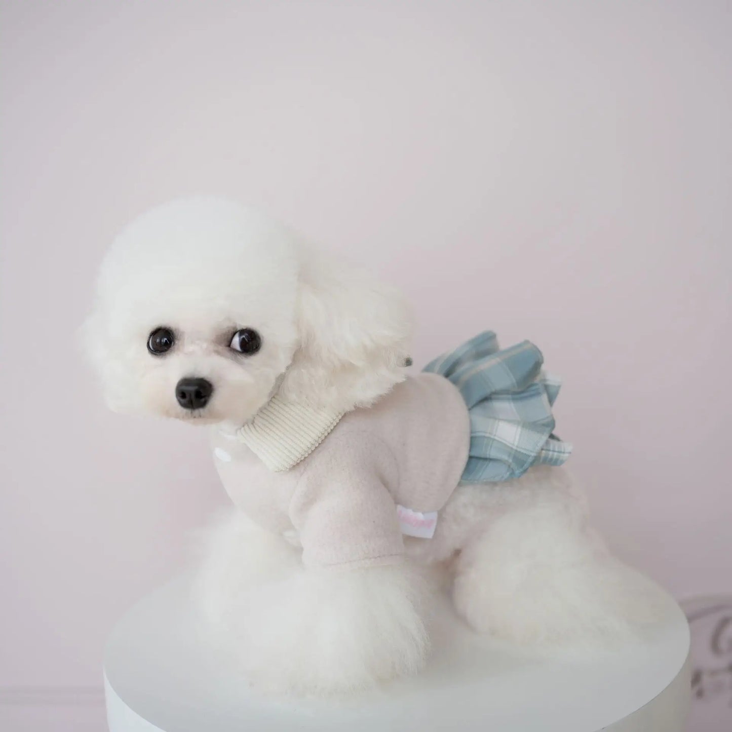 Teddy Winter Outfit