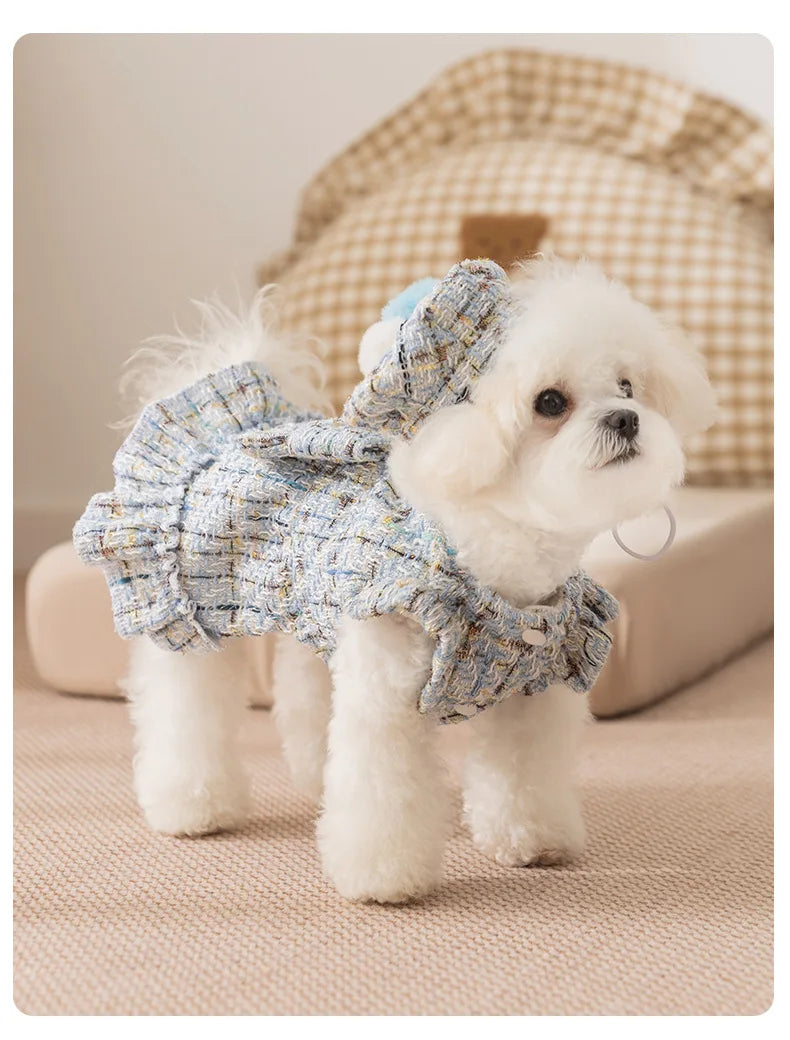 Frosty Paw Fashion