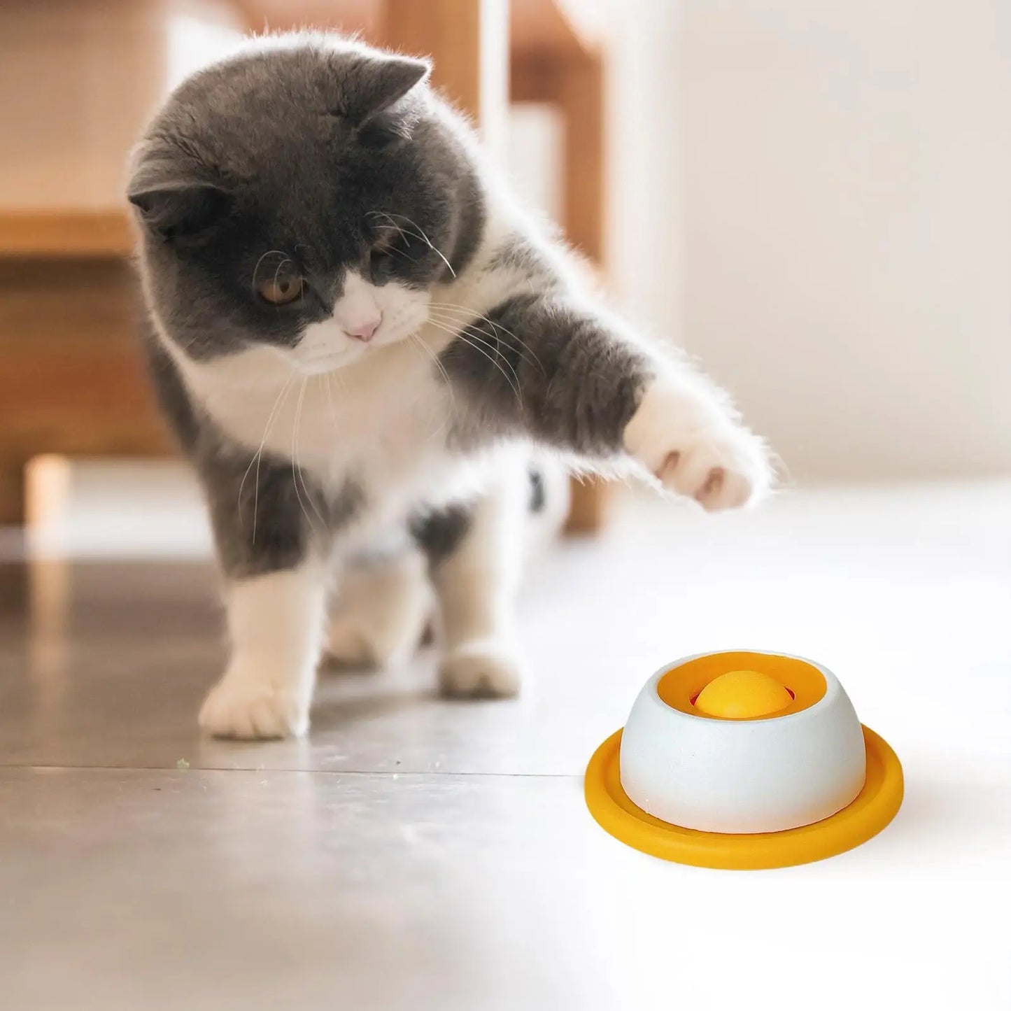 Lick Feeding Toy