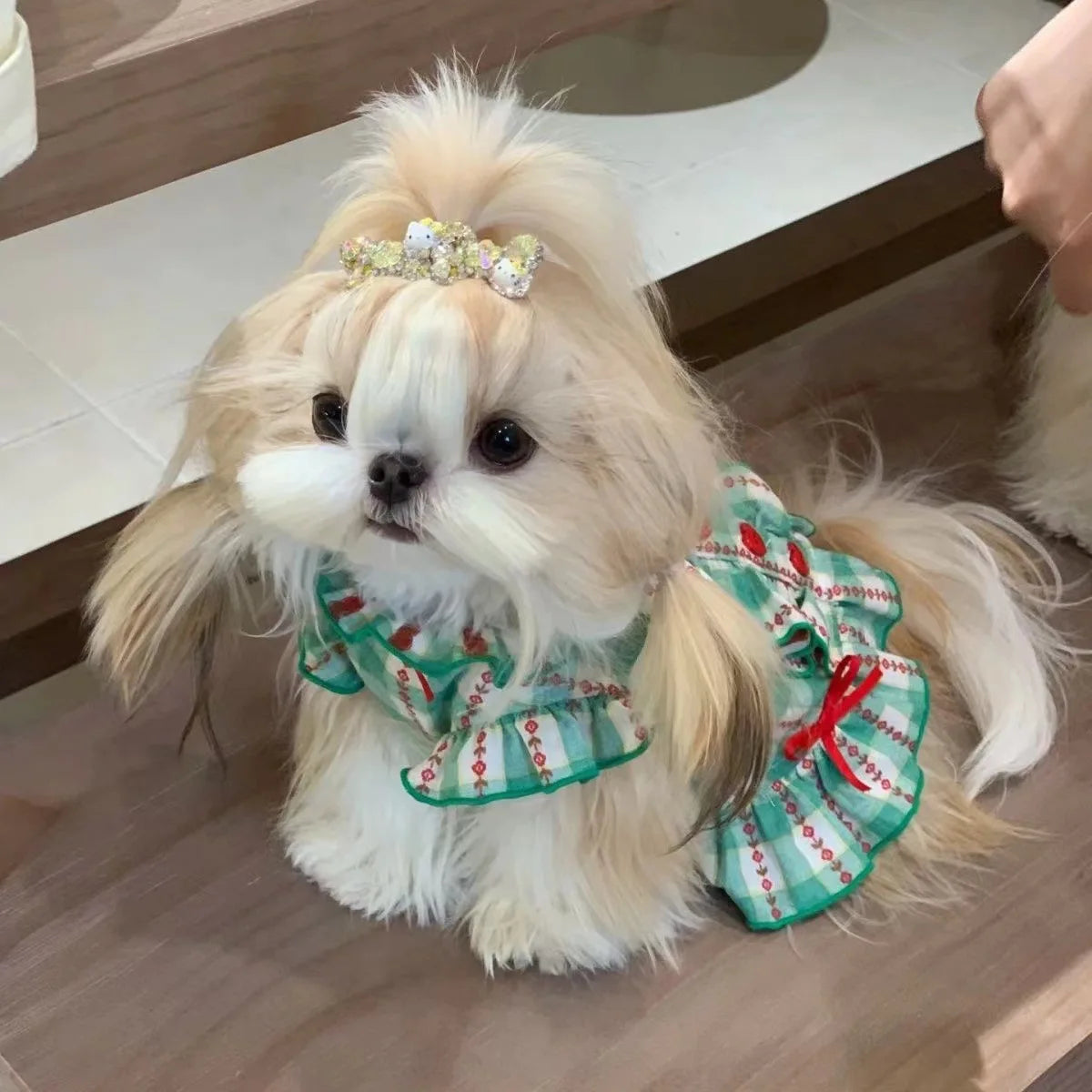 Dog Princess Vest