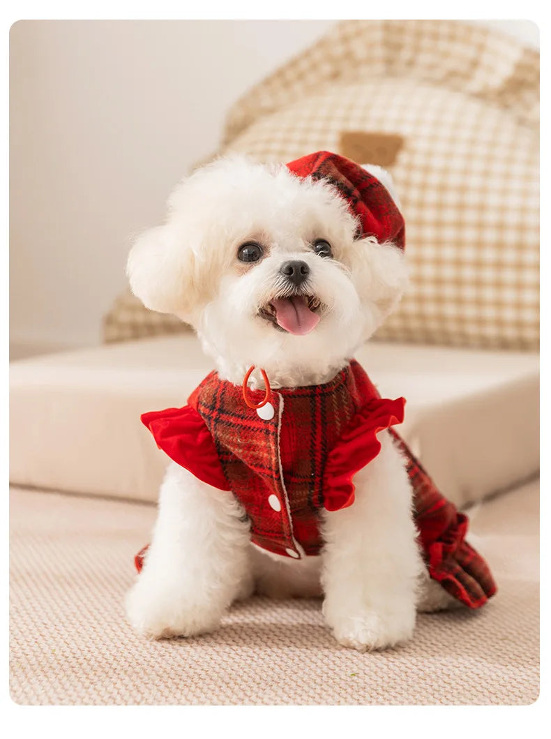 Frosty Paw Fashion