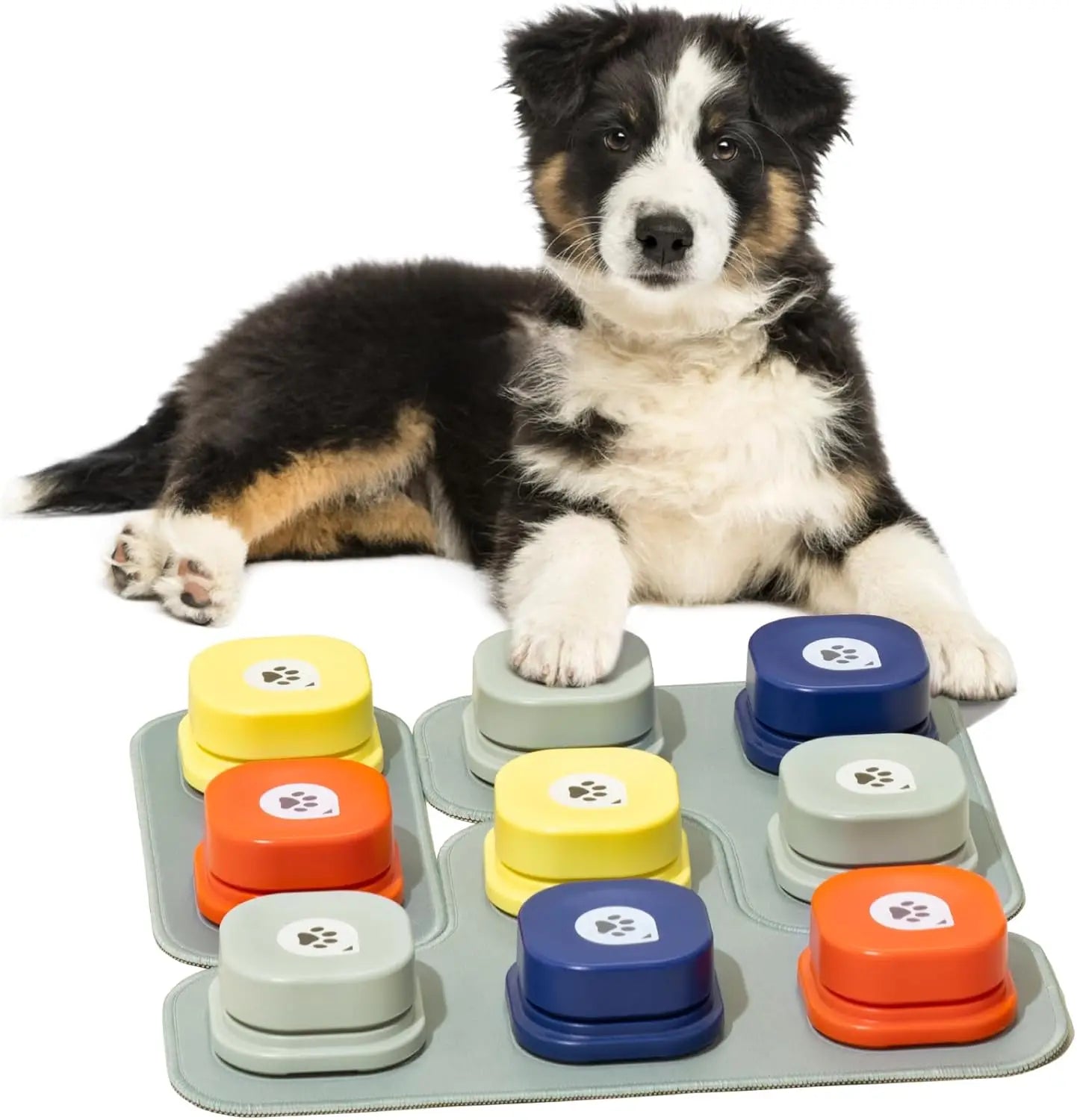 Dog Talk Buttons