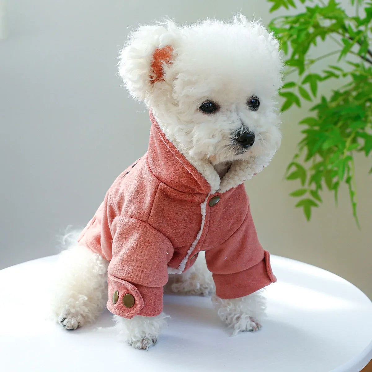 Snug Puppy Jacket