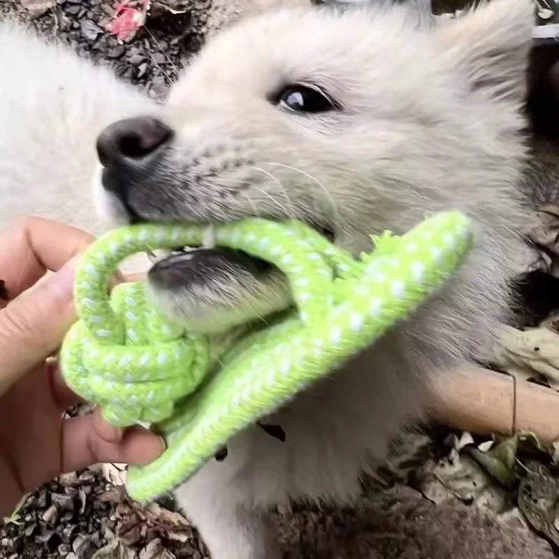 Knotted Rope Toy