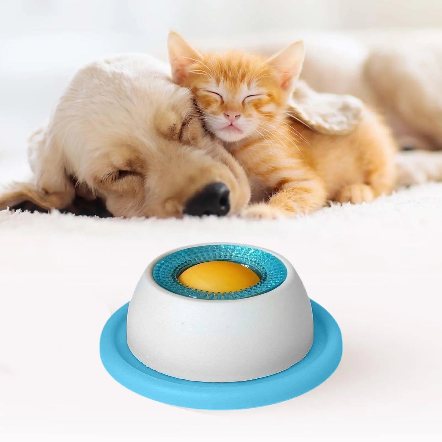 Lick Feeding Toy
