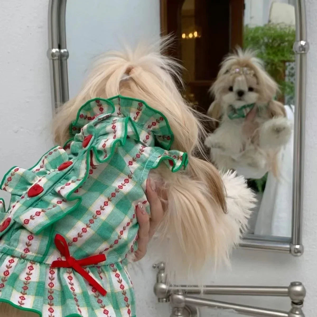 Dog Princess Vest