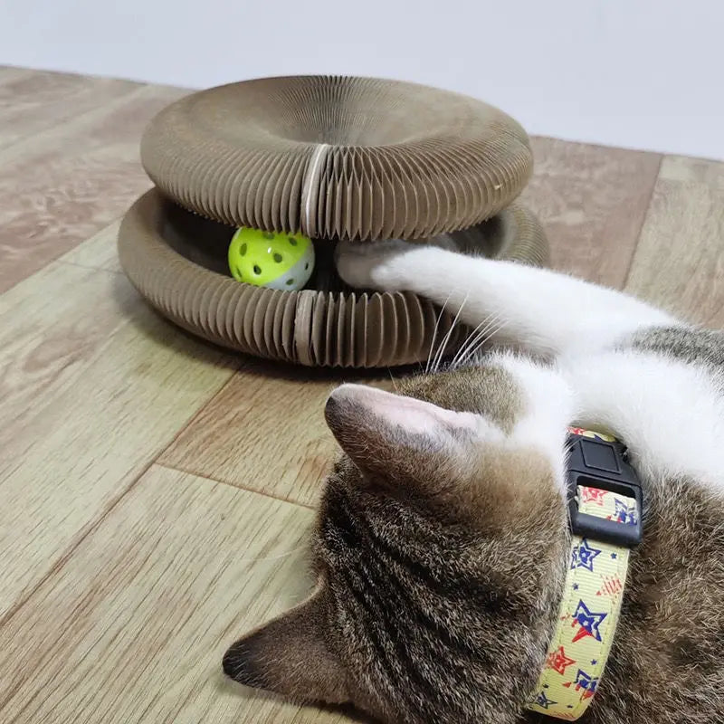 Paper Cat Scratching Board