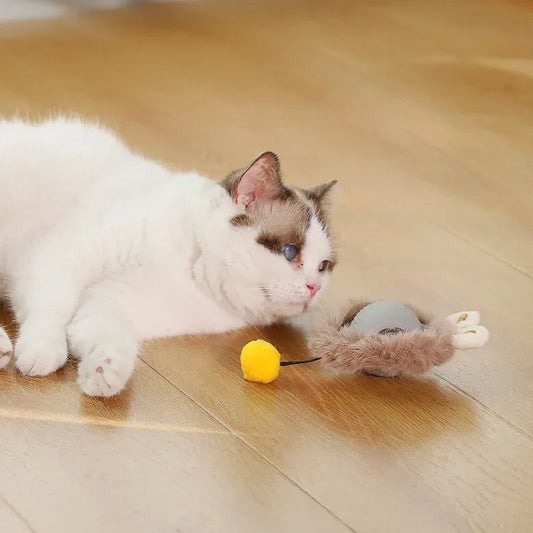 Electric Rolling Ball