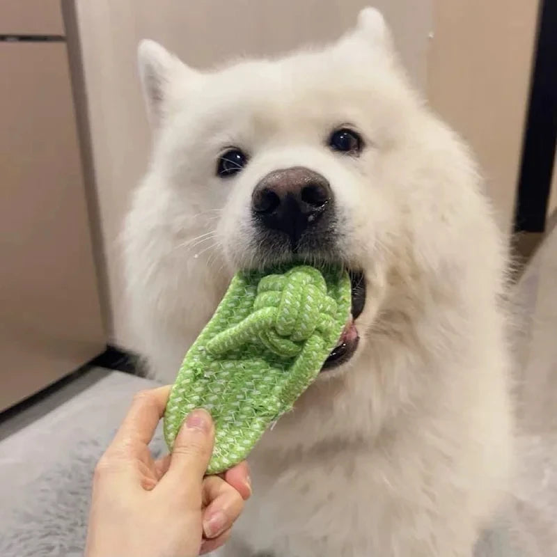 Knotted Rope Toy