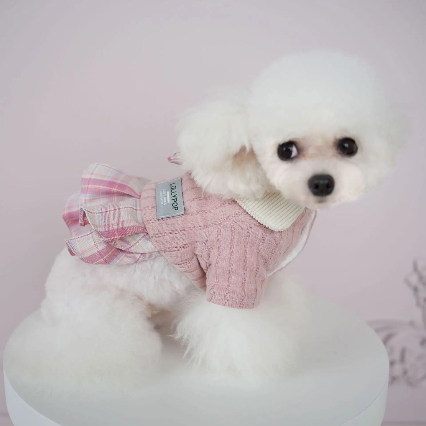Teddy Winter Outfit