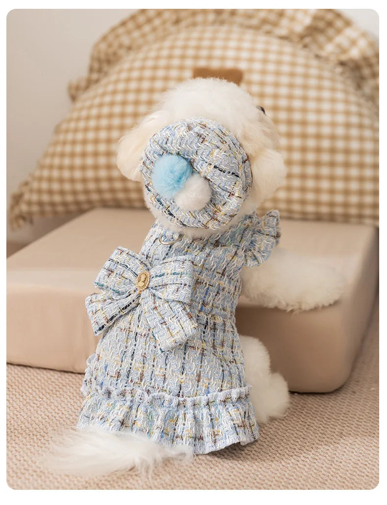 Frosty Paw Fashion