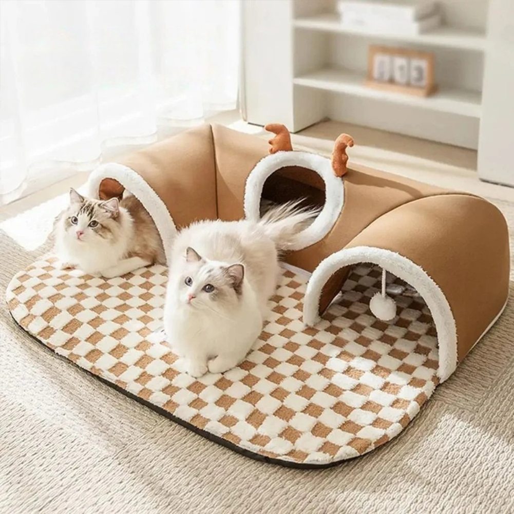 Cats beds, baskets, & mats