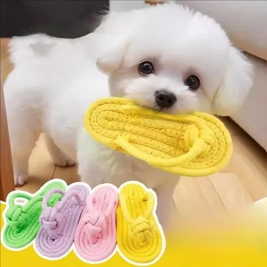 Knotted Rope Toy